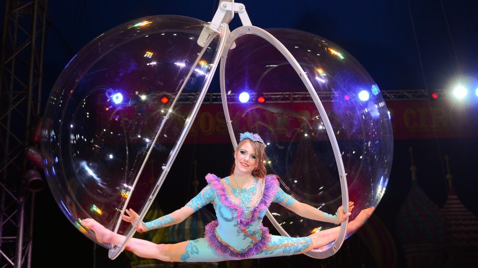 Moscow State Circus globe2